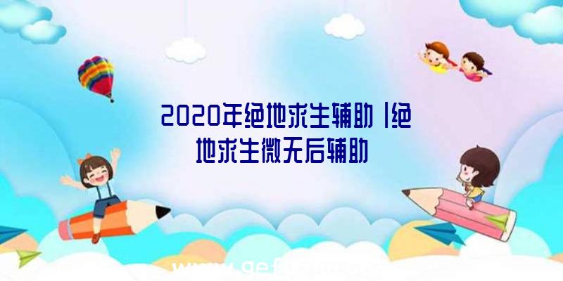 「2020年绝地求生辅助」|绝地求生微无后辅助